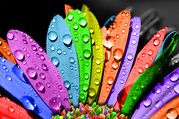 get more leads to my website